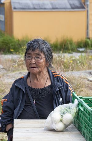   Local Inuit With Turnips for Sale  Qatortoq Greenland 